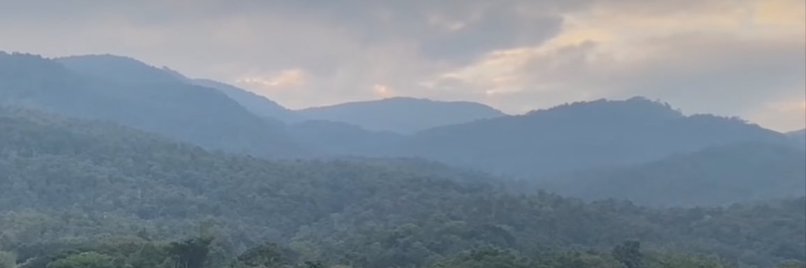 patlomhero's profile banner image