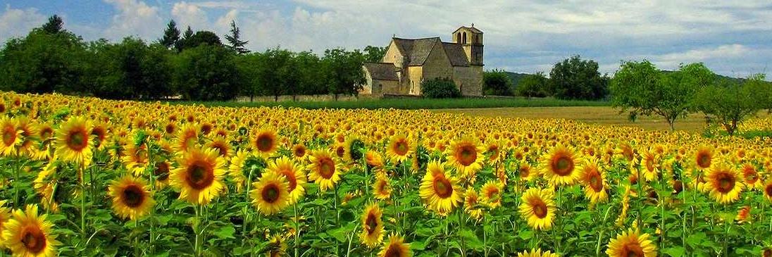 Françoise PROUILLAC🦀 🇪🇺🇫🇷🦀 banner