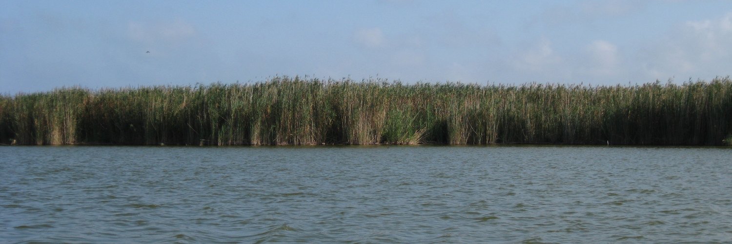 Thomas Muders banner