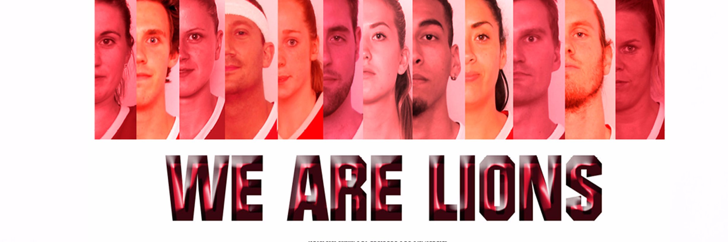 HogsboLions's profile banner image