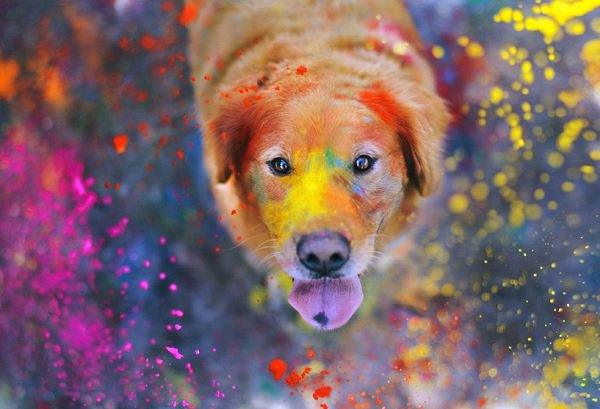 In Medias Res banner