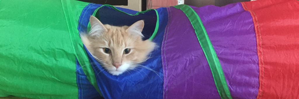 Ninni Victoria 🦄 banner