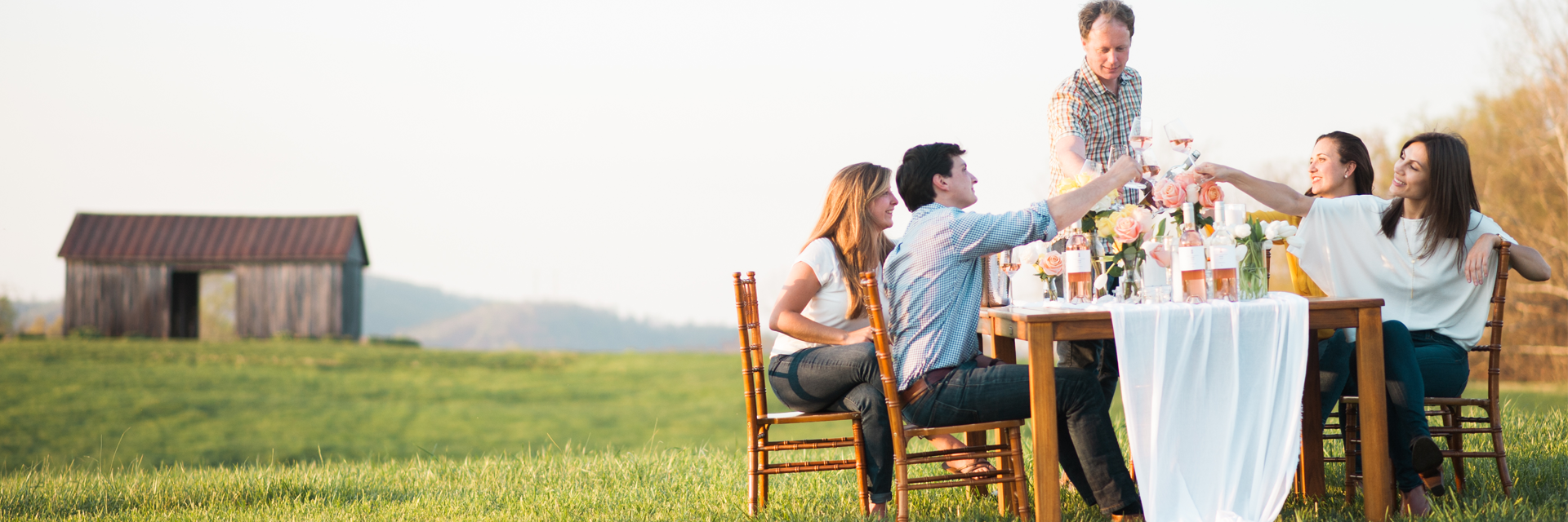 Early Mountain Wine banner