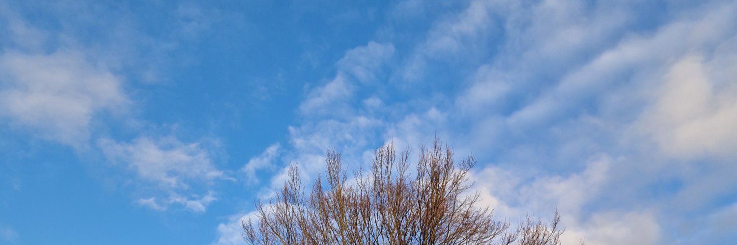 EsraK2011's profile banner image