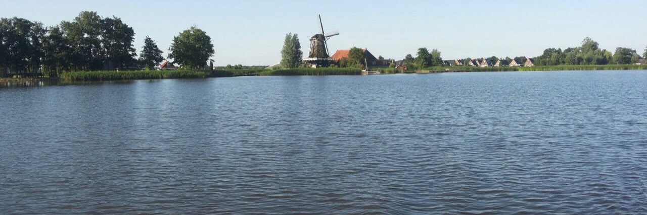 VVD De Fryske Marren banner