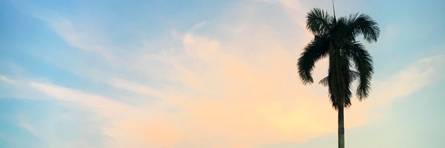 murlaugh's profile banner image