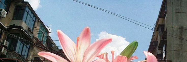FusonB's profile banner image