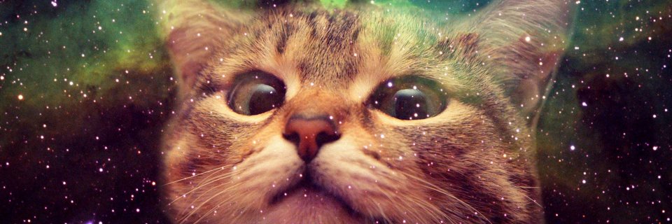 DatNoFact ↗ (@datnofact.bsky.social) banner