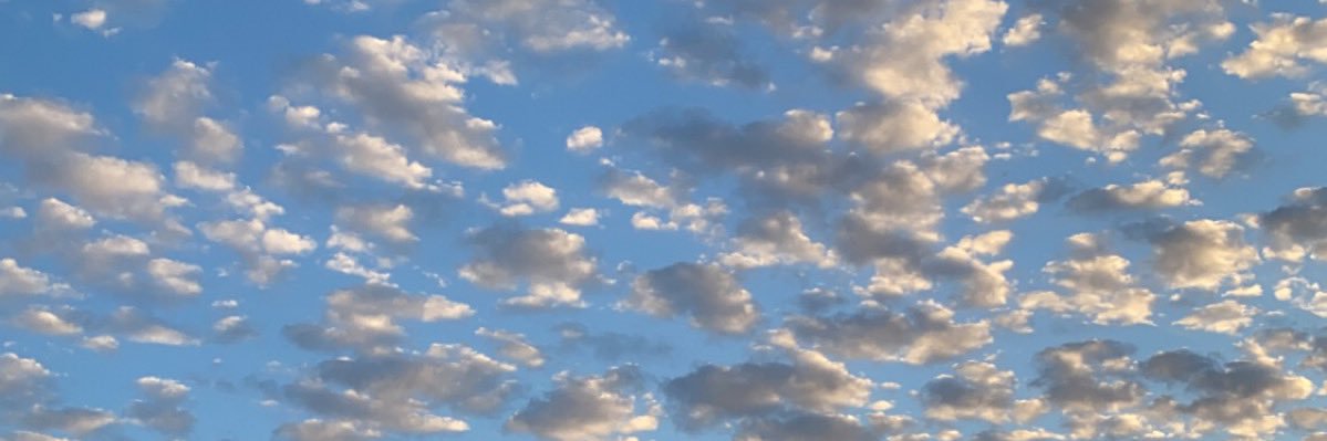 L_Shaker63's profile banner image
