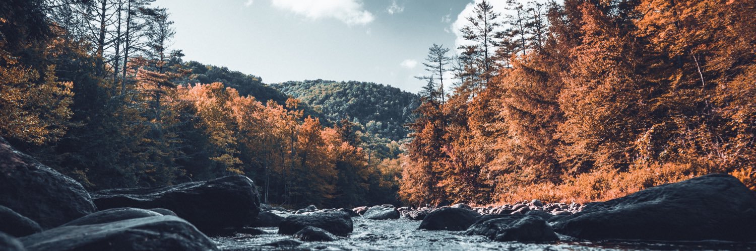 TannerShore's profile banner image