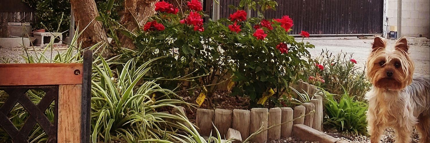 ConchiJimenez8's profile banner image