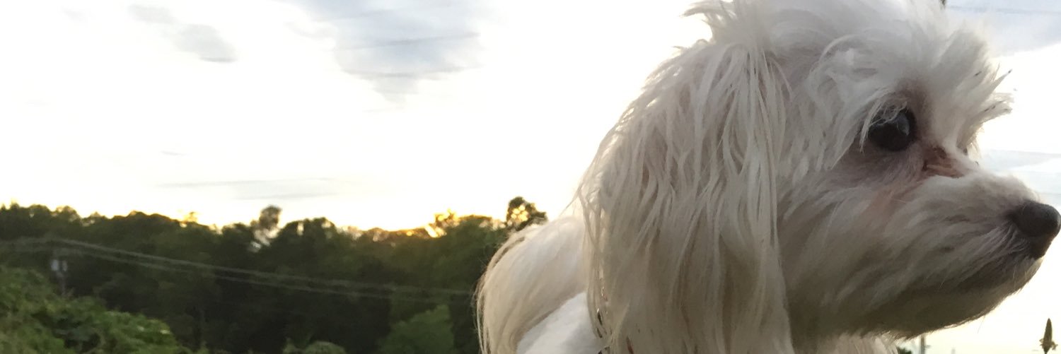 RachelleCoxy's profile banner image