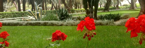 ZarahVernham Profile Banner