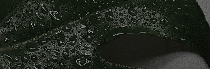 Zaainob's profile banner image