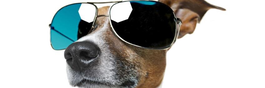 HackRussell's profile banner image