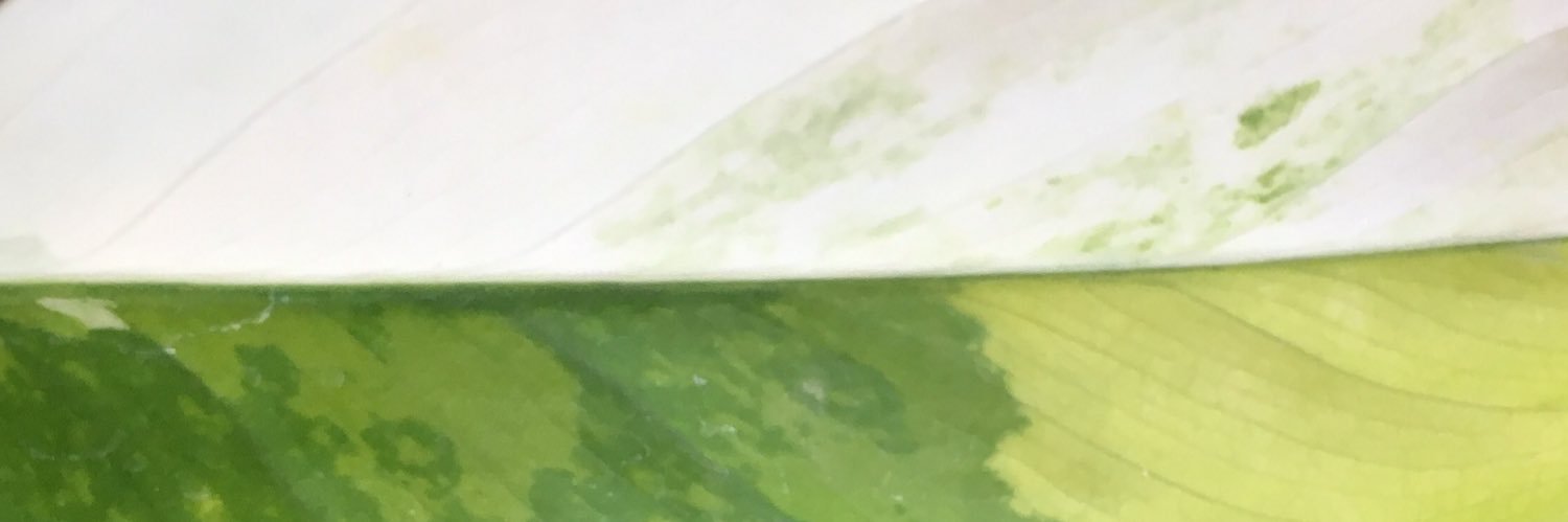 zzzzcom5's profile banner image