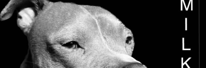 ScottyLee81's profile banner image