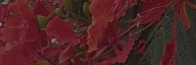 prettymepre's profile banner image