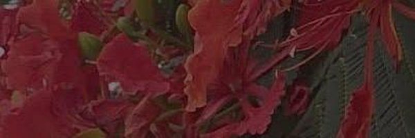 prettymepre Profile Banner