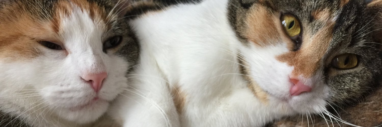 MrKropf's profile banner image