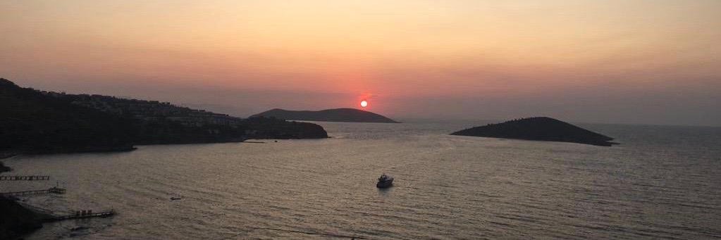 Sare Davutoğlu banner