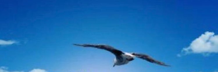 AlanoodAlsubaii's profile banner image