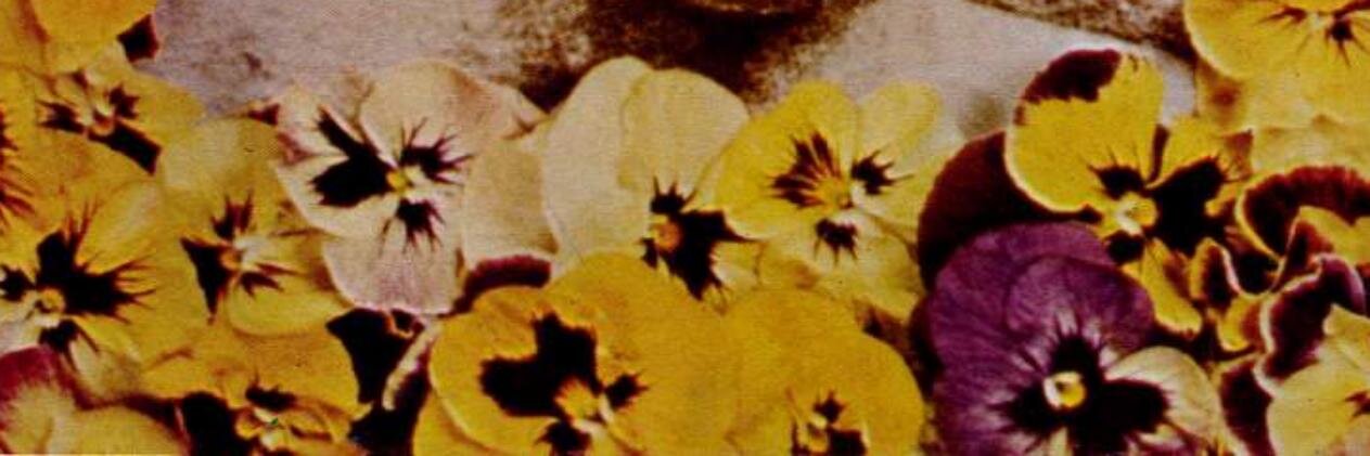 DarrenKC's profile banner image
