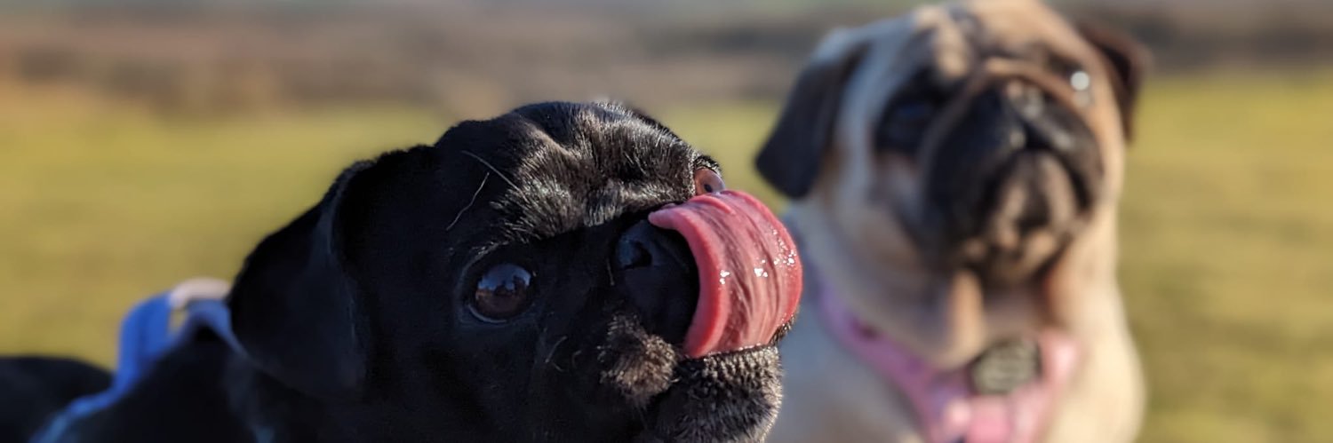 luuucce's profile banner image