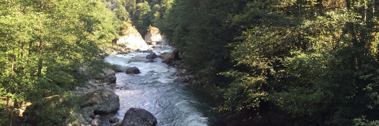 Mehtap Mertdogan banner