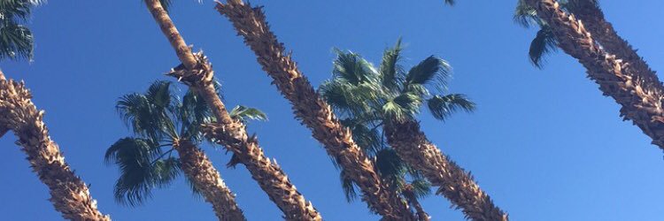 n_yewman's profile banner image