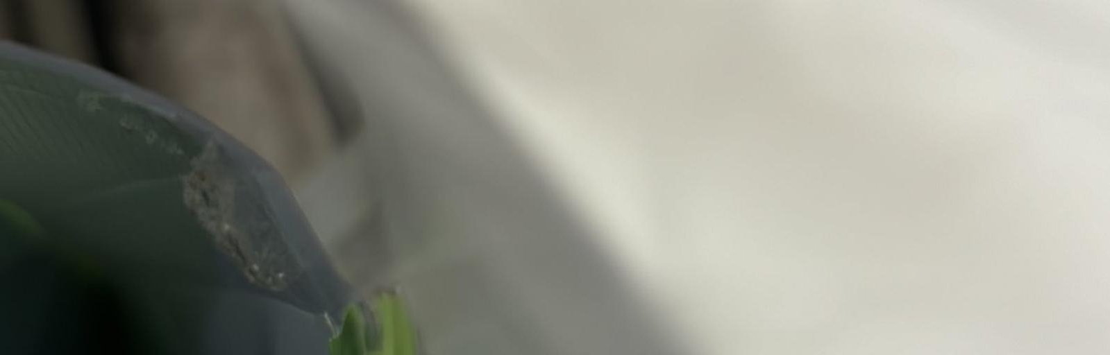 アニメ通信 banner