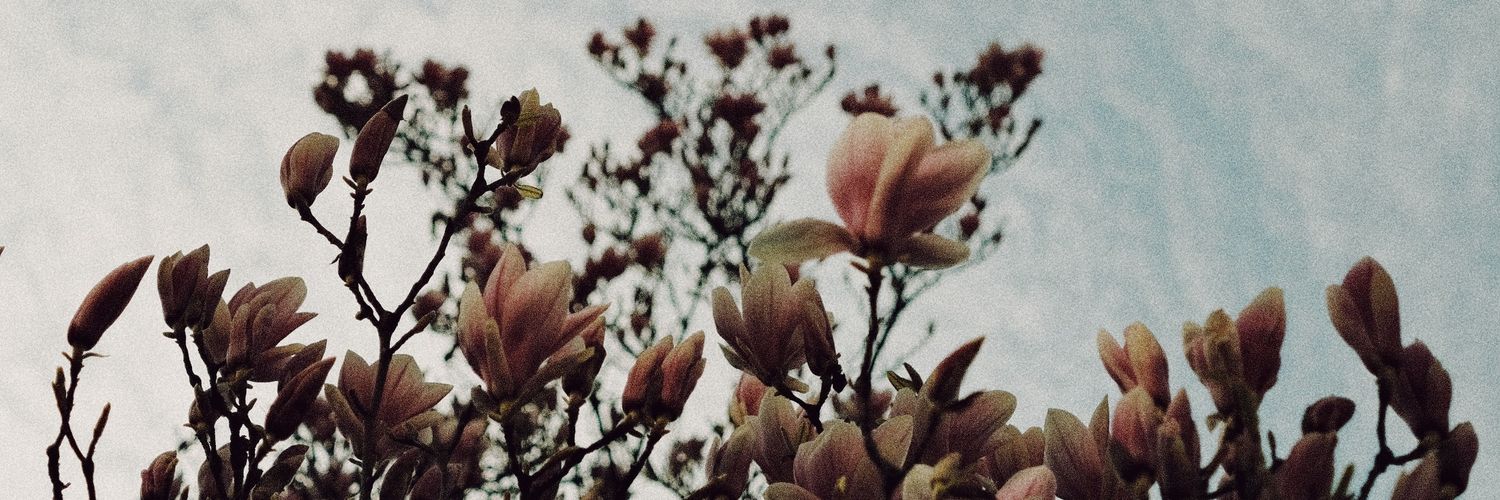 cratter's profile banner image