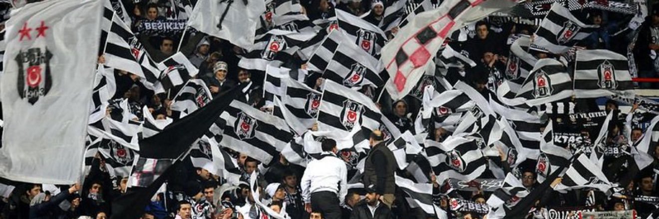 ccilingiroglu's profile banner image