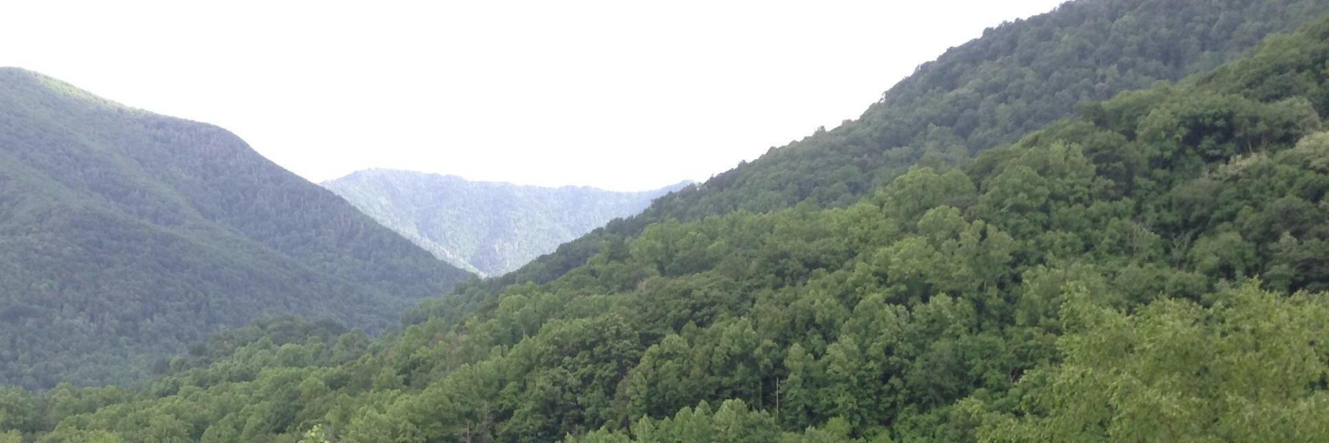 neda_ablhsn's profile banner image