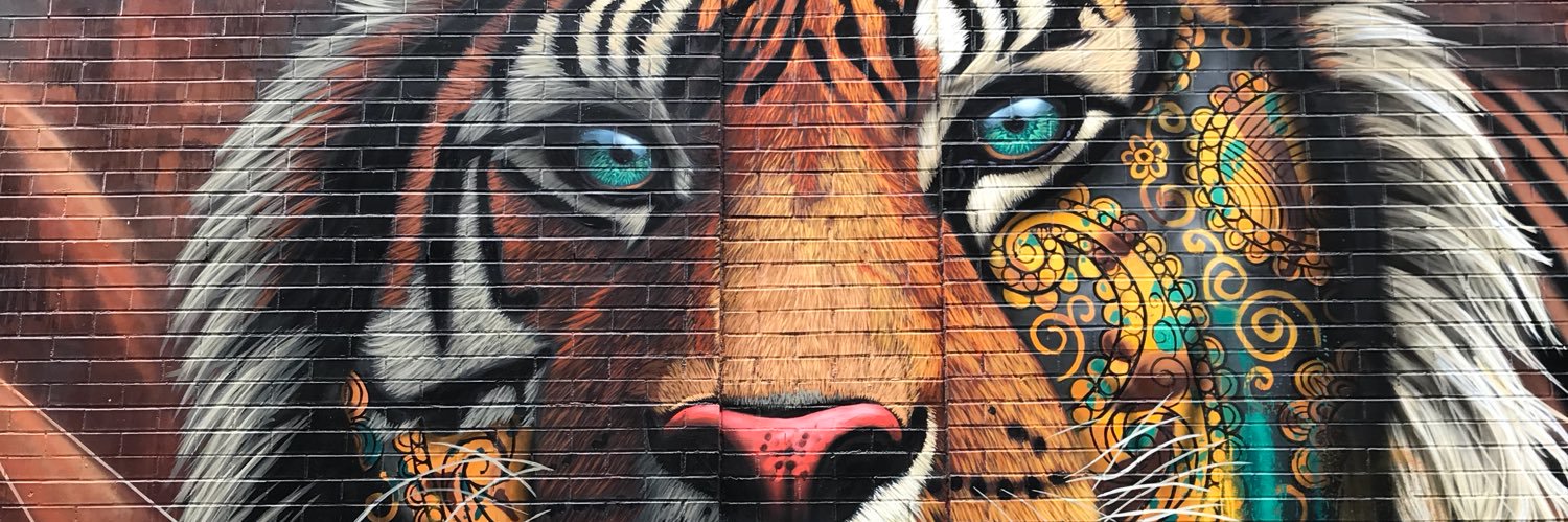 DEJAN OBRADOVIĆ banner