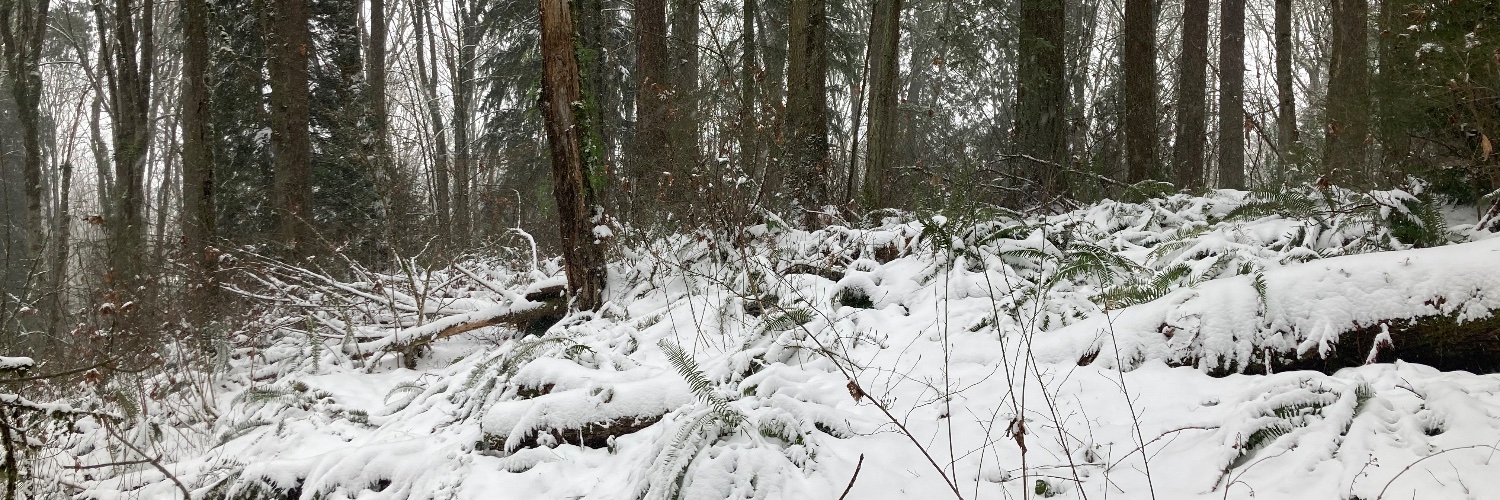 J.A. Prentice banner