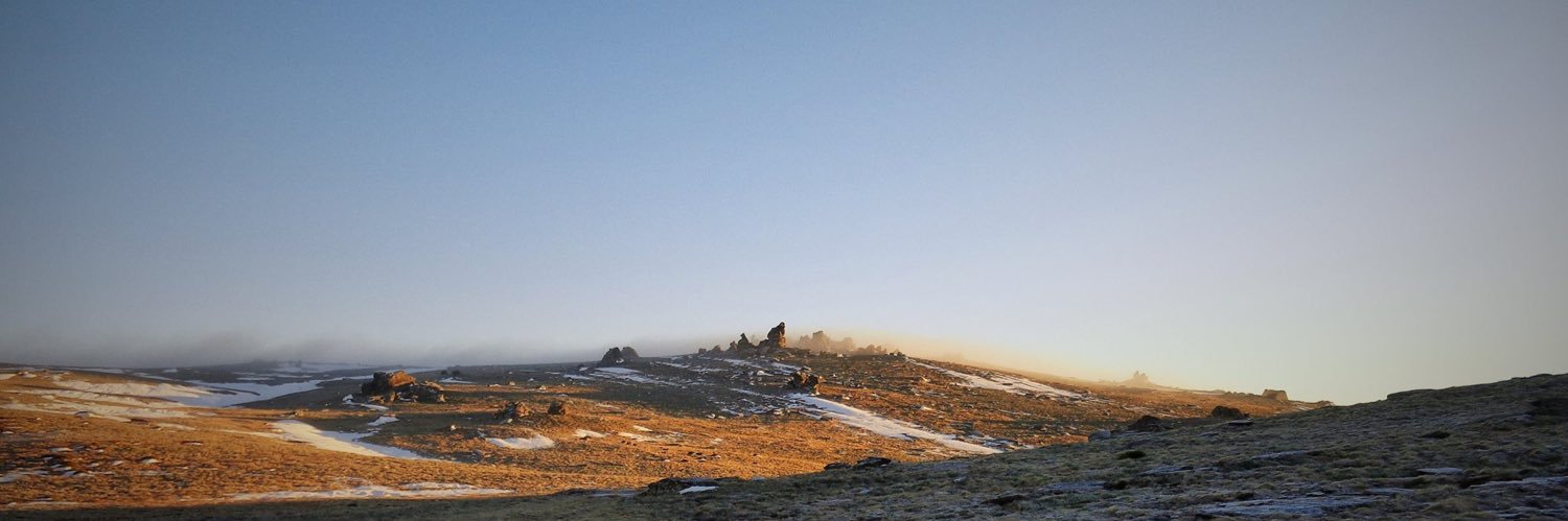 simenmekelund's profile banner image