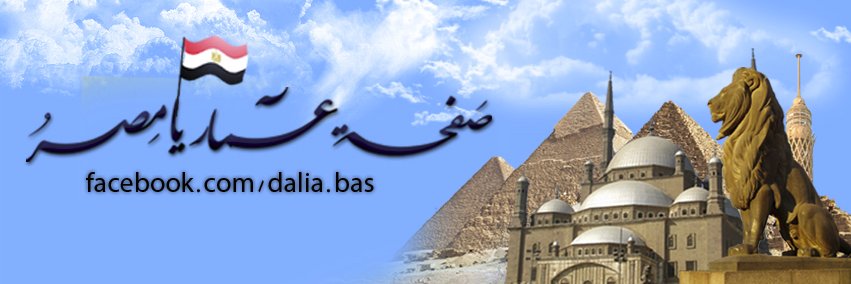 Daliaaabas's profile banner image