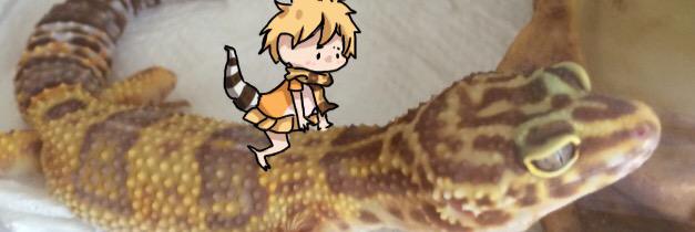 さくら🌸 banner
