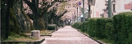 NiinMulya's profile banner image