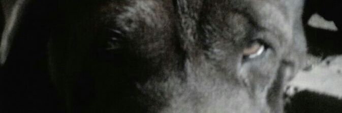 AlanDominguez93's profile banner image