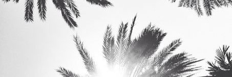 Mamadieva's profile banner image