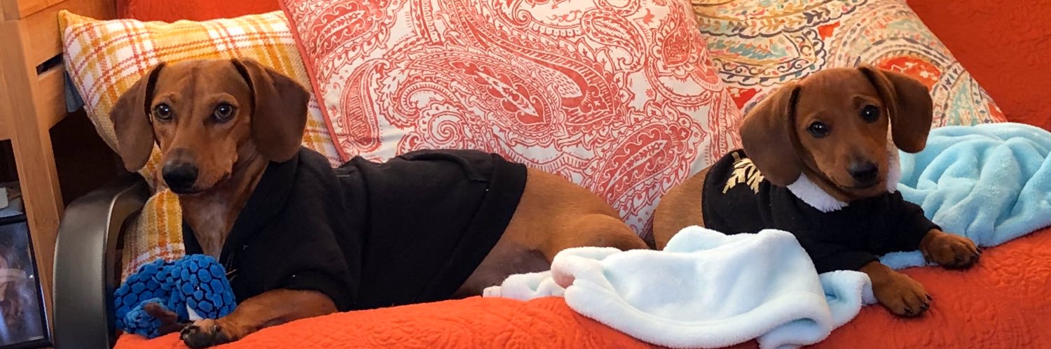 Jeanie Munn 💛🖤🦅🖤💛 #SMTTT banner