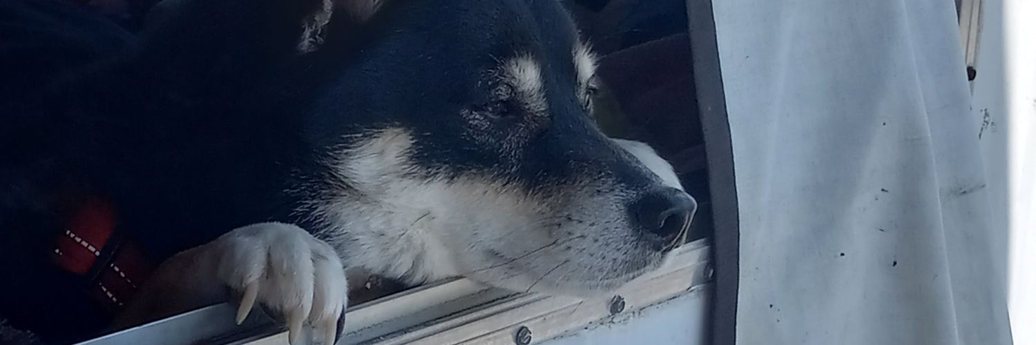 tsoasjimjam's profile banner image