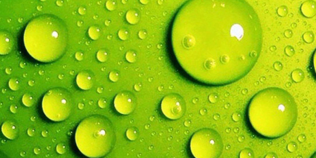 murphychocpup's profile banner image