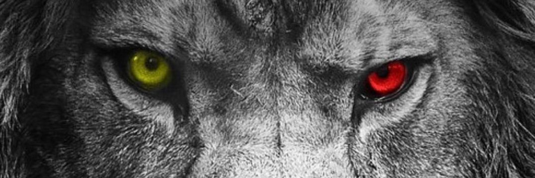 serkankara76's profile banner image