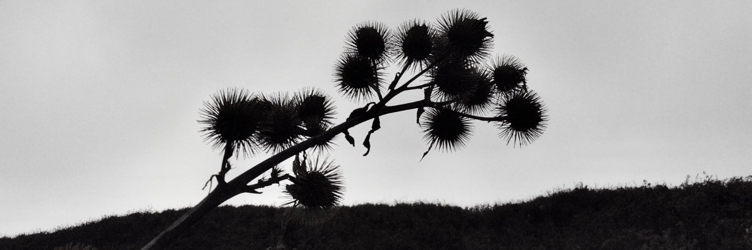 Martin__Bird's profile banner image