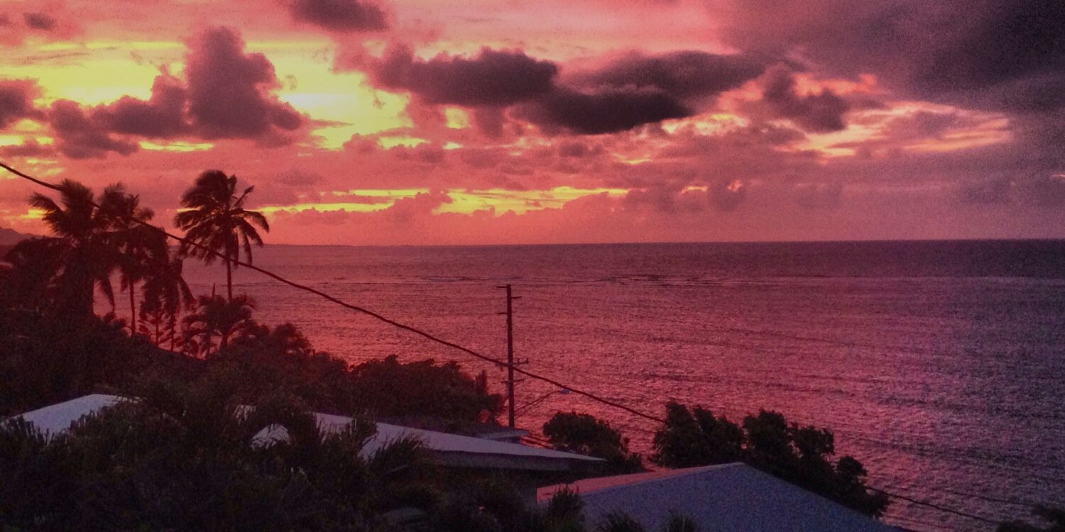 WellnessDPT's profile banner image