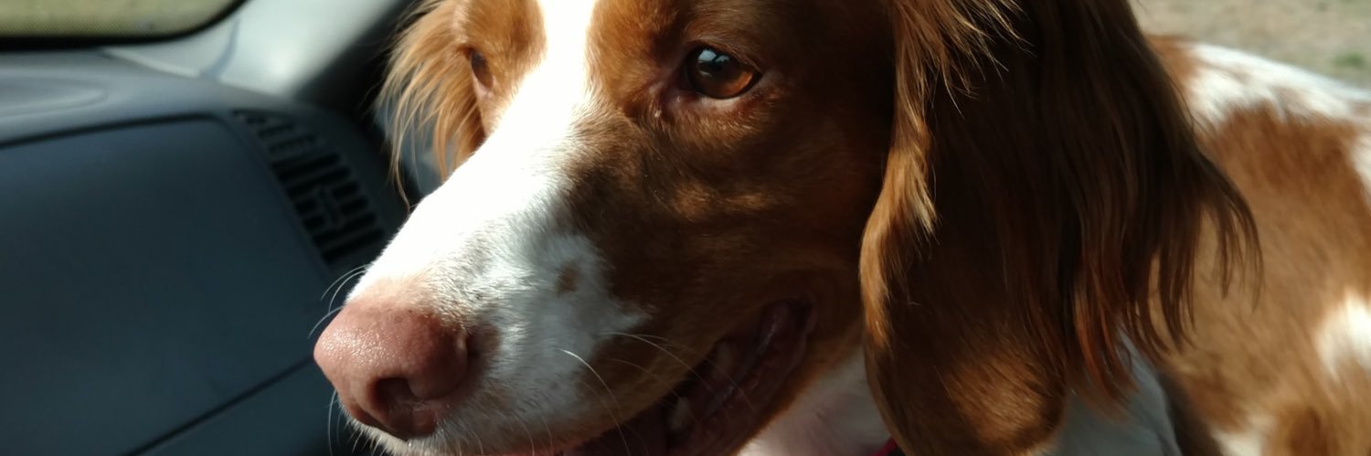 TM_timing's profile banner image