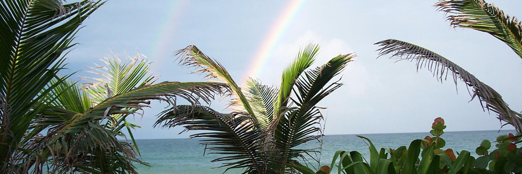 BettyGGonzalez's profile banner image